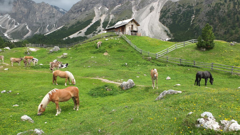 Garni Le Chalet Santa Cristina Val Gardena Kültér fotó
