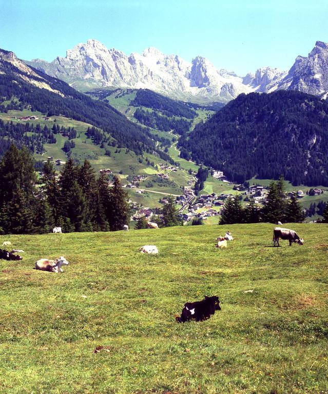Garni Le Chalet Santa Cristina Val Gardena Kültér fotó