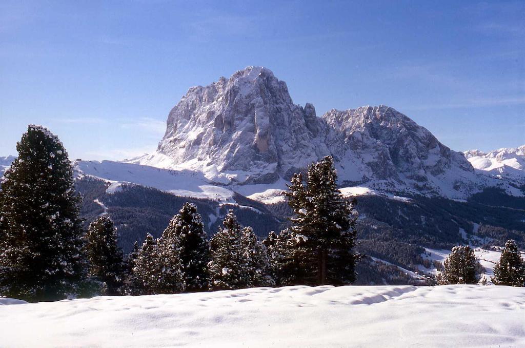Garni Le Chalet Santa Cristina Val Gardena Kültér fotó